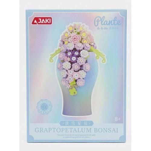 Jakı Graptopetalum Bonsai Vazo Çiçek Lego